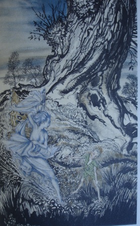 Arthur Rackham Illustrations For Sale