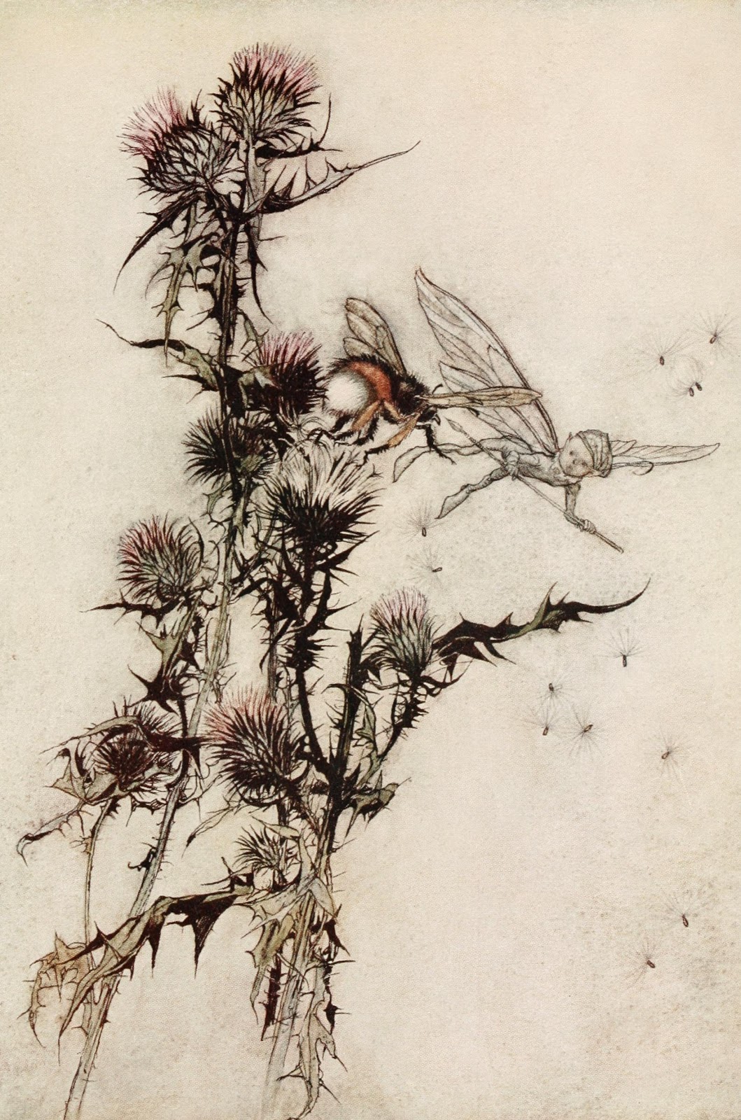 Arthur Rackham Illustrations Public Domain