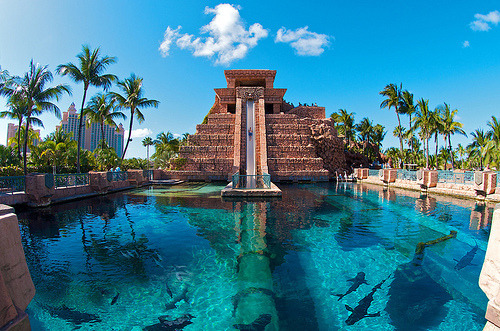 Atlantis Bahamas Slide Sharks