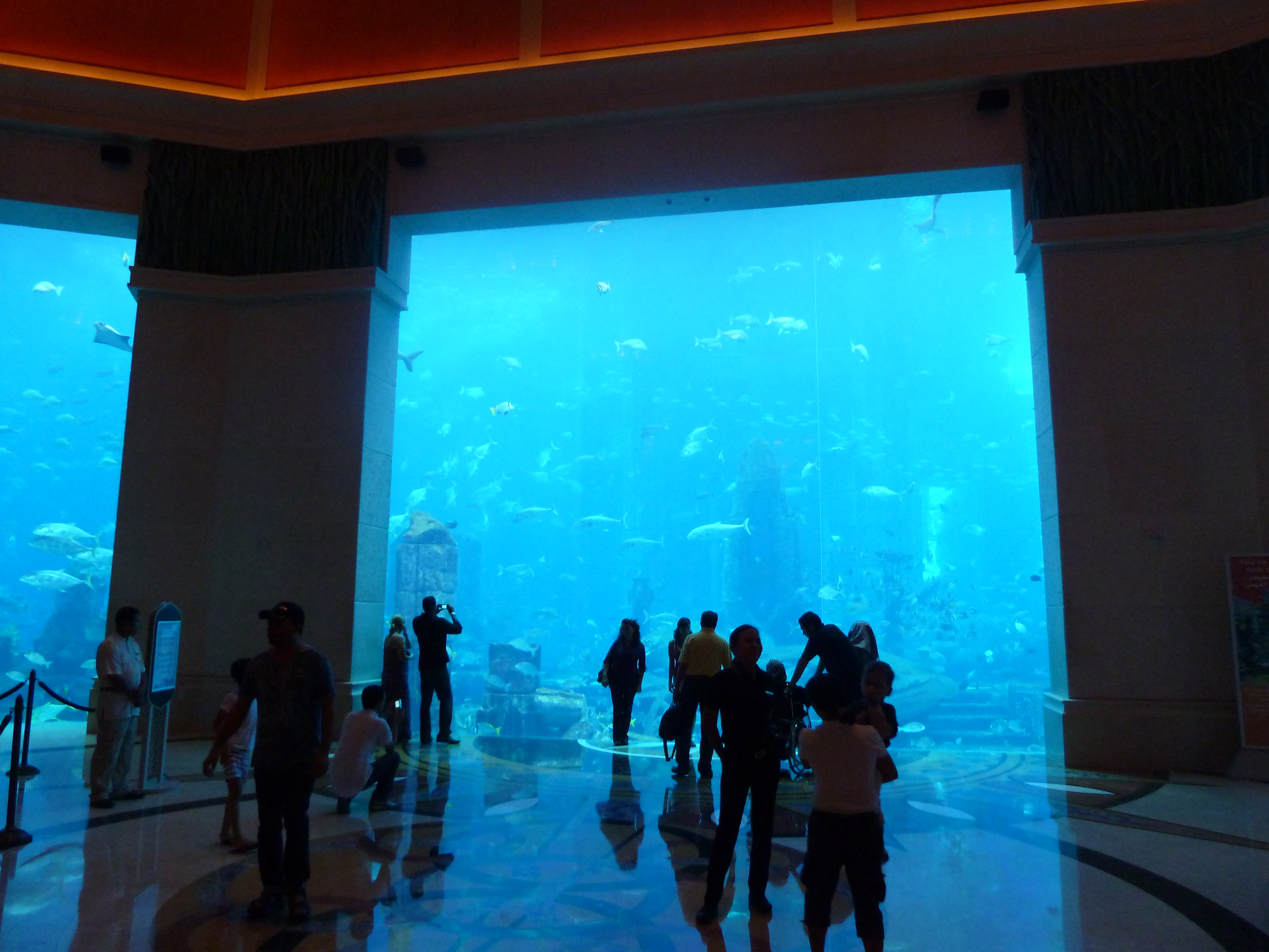 Atlantis Dubai Aquarium Visit