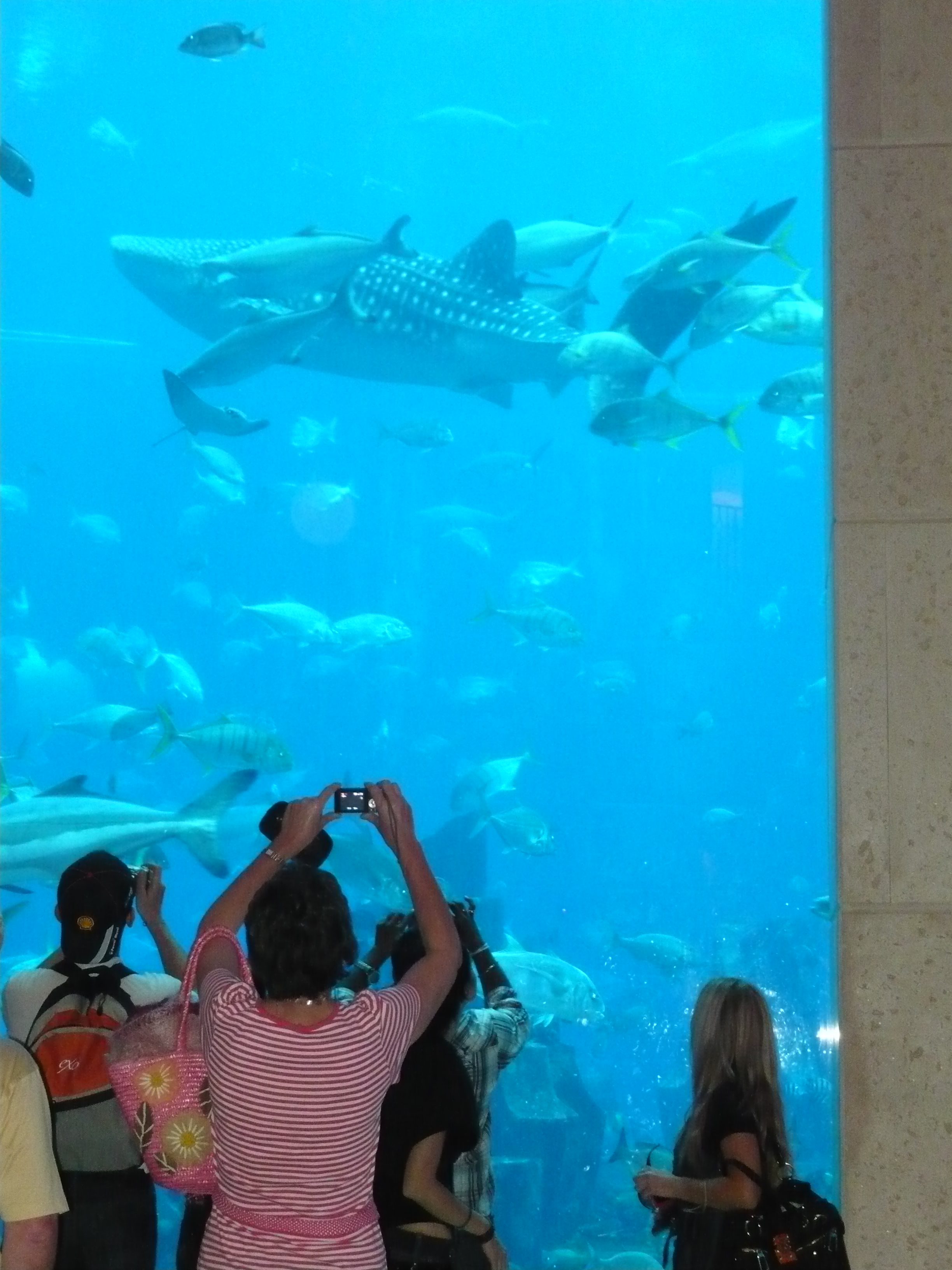 Atlantis Dubai Aquarium Visit