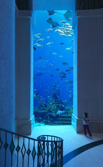 Atlantis Dubai Hotel Underwater