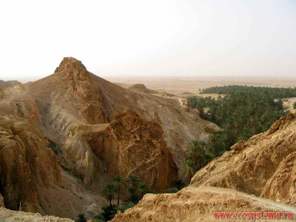 Atlas Mountains In Africa