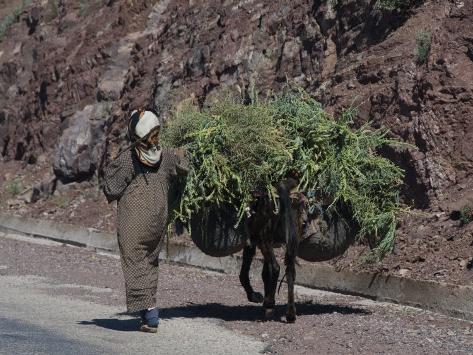 Atlas Mountains Morocco Road