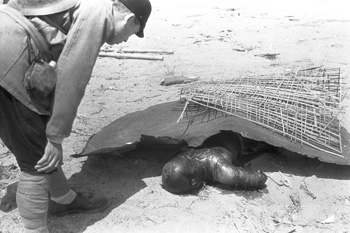 Atomic Bombings Of Hiroshima And Nagasaki Pictures