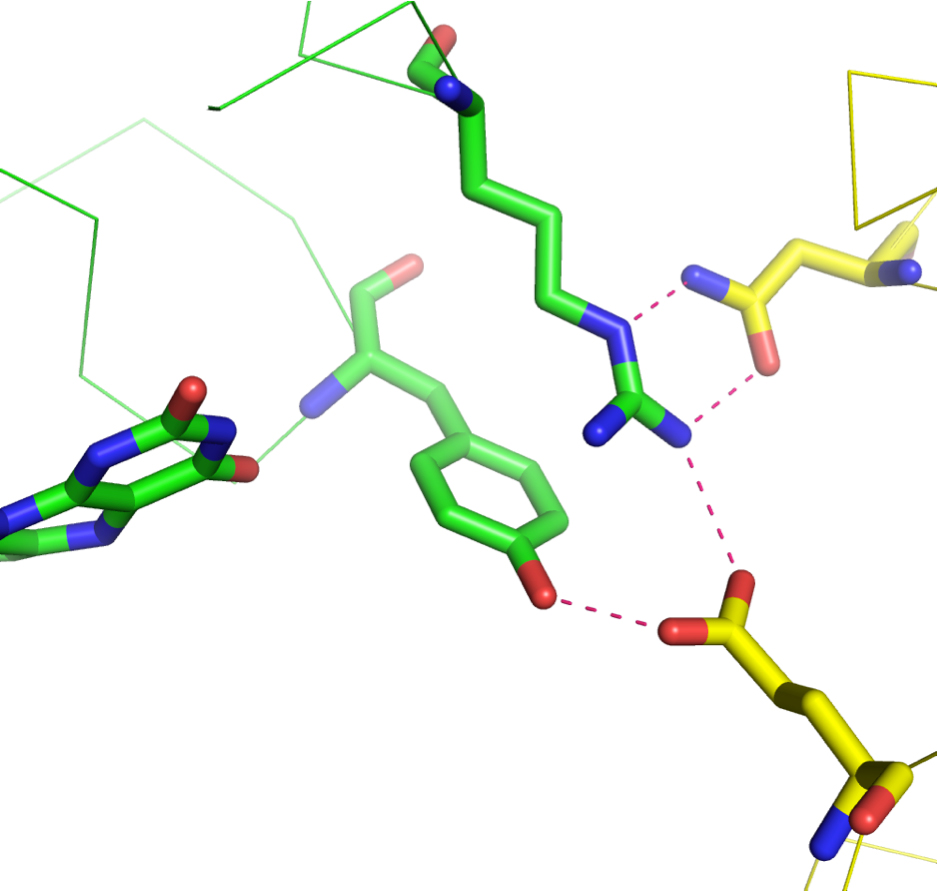 Atomic Structure Model