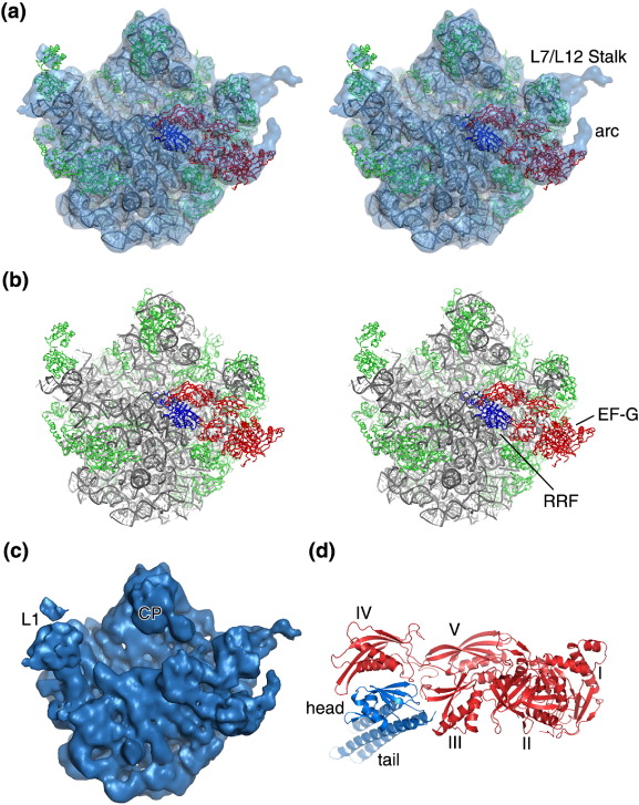 Atomic Structure Model Activity