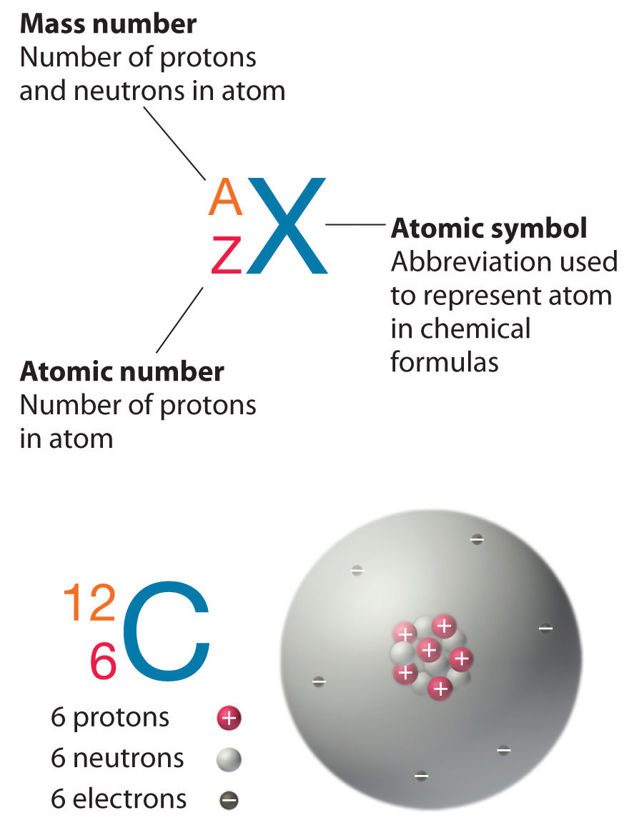 Atomic Structure Of Carbon 12