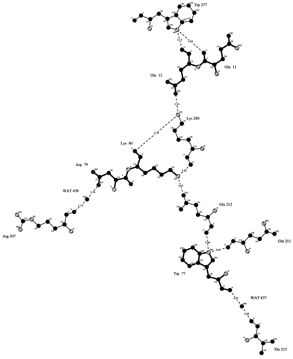 Atomic Structure Of Carbon 12