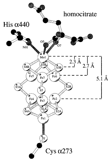 Atomic Structure Of Carbon 13