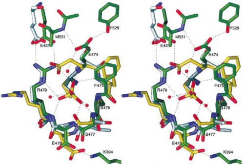 Atomic Structure Of Carbon