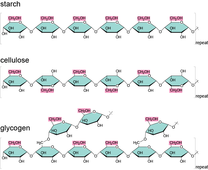 Atomic Structure Of Carbon Fiber