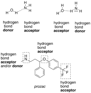 Atomic Structure Of Hydrogen