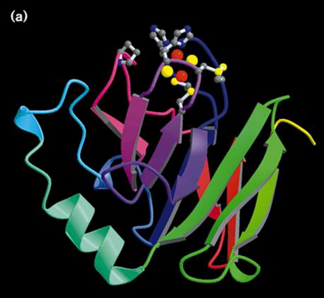 Atomic Structure Of Iron