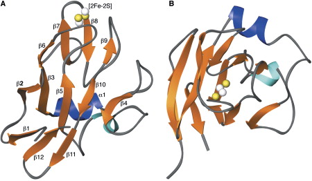 Atomic Structure Of Iron Element