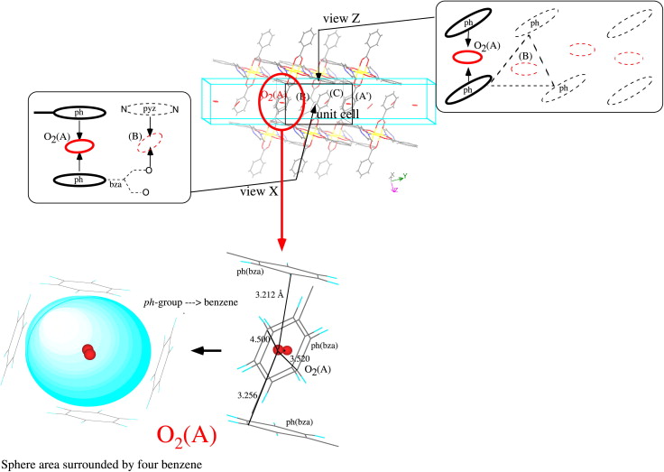 Atomic Structure Of Oxygen Molecule