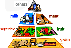 Australian Healthy Living Pyramid