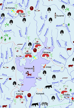 Australian Rainforest Food Web Diagram