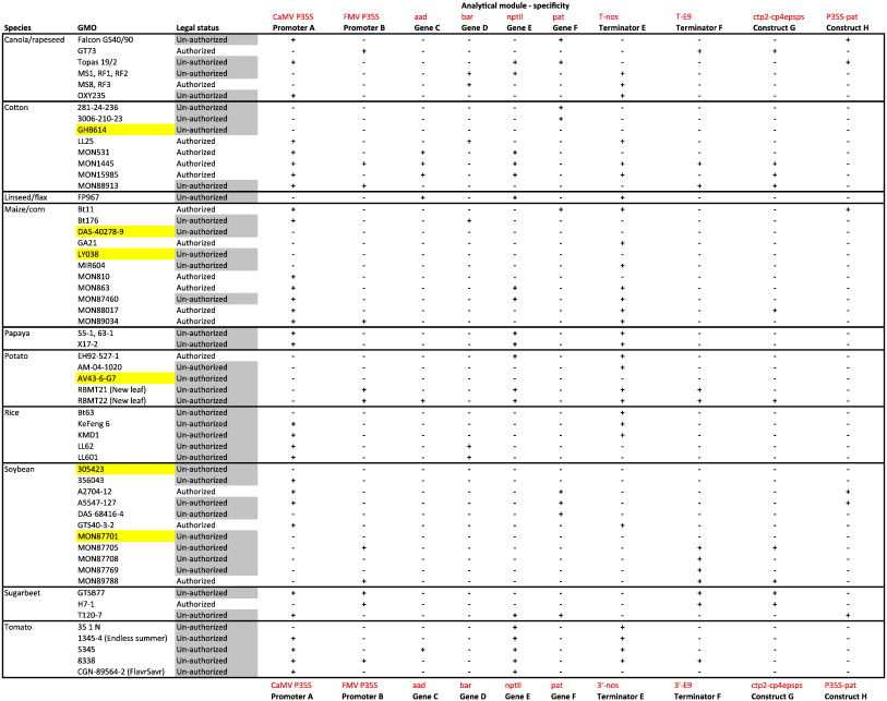 Authority Matrix Example