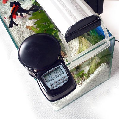 Automatic Feeder Fish