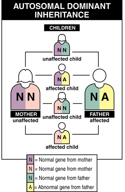 Autosomal Dominant Disorders Examples