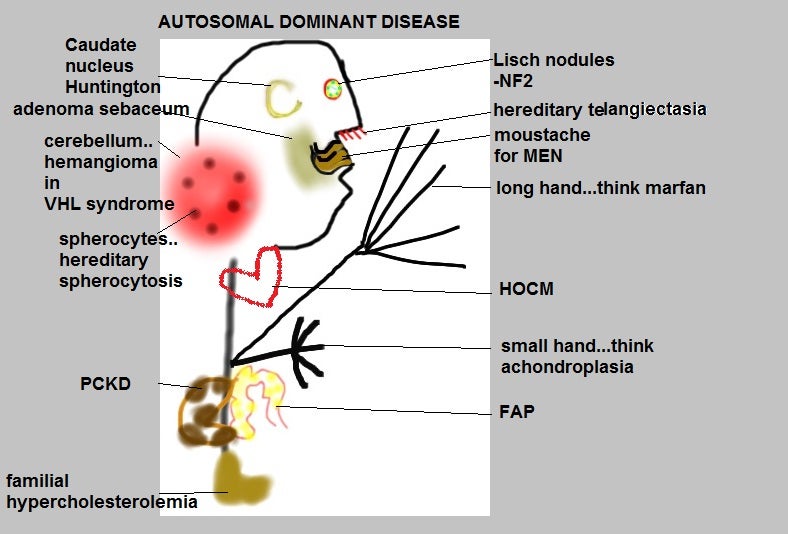 Autosomal Dominant Disorders Mnemonic