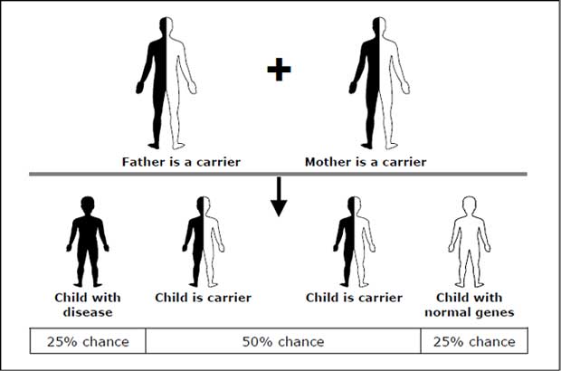 Autosomal Dominant Inheritance For Dummies