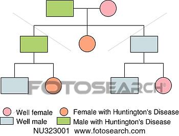 Autosomal Dominant Inheritance Pedigree