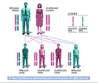 Autosomal Dominant Inheritance Percentage