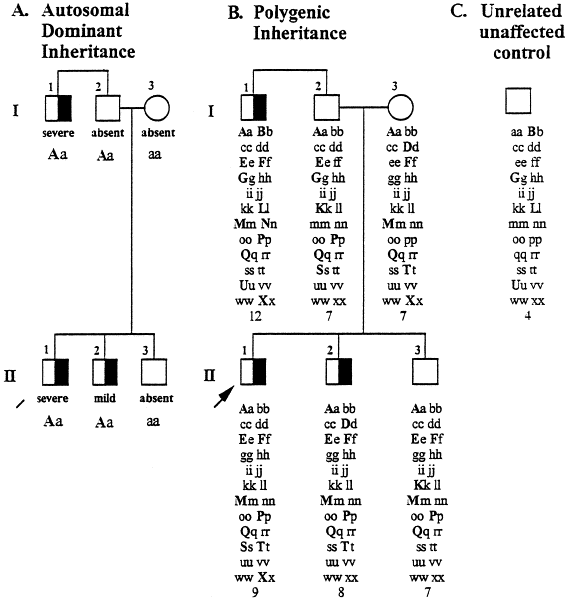 Autosomal Dominant Inheritance Percentage