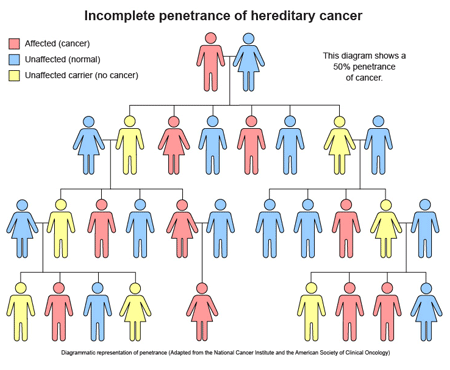 Autosomal Dominant Inheritance Percentage