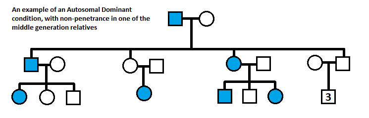 Autosomal Dominant Polycystic Kidney Disease Genetics