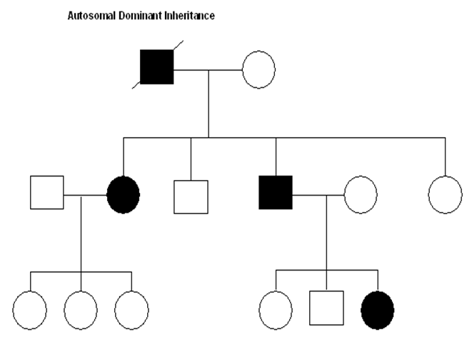 Autosomal Dominant Polycystic Kidney Disease Genetics