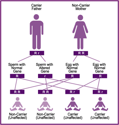 Autosomal Dominant Trait