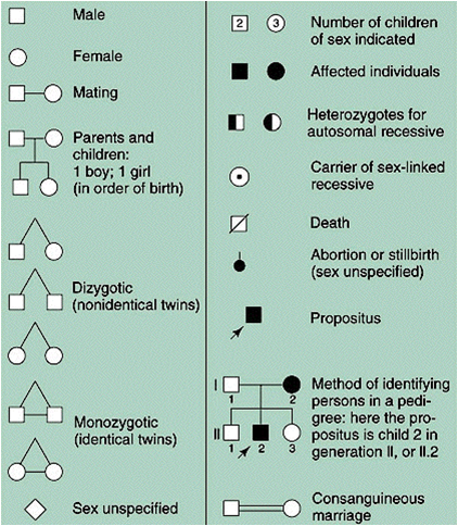 Autosomal Dominant Trait