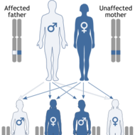 Autosomal Dominant Trait