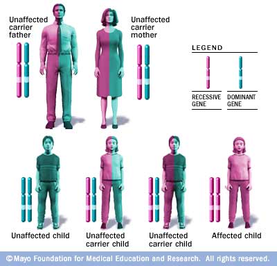 Autosomal Recessive Disorders Are Manifested Even If Only One Member Of The Gene Pair Is Affected