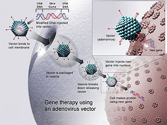 Autosomal Recessive Disorders Are Manifested Even If Only One Member Of The Gene Pair Is Affected