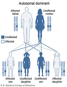 Autosomal Recessive Disorders Are Manifested Even If Only One Member Of The Gene Pair Is Affected