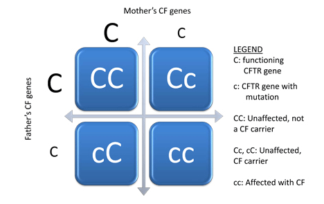 Autosomal Recessive Disorders Cystic Fibrosis