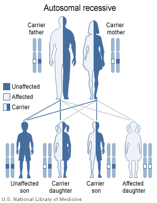 Autosomal Recessive Disorders Cystic Fibrosis