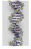 Autosomal Recessive Disorders Cystic Fibrosis