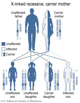 Autosomal Recessive Disorders Definition