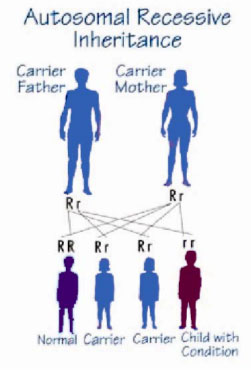 Autosomal Recessive Disorders Definition