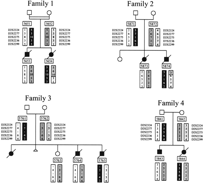 Autosomal Recessive Disorders Definition