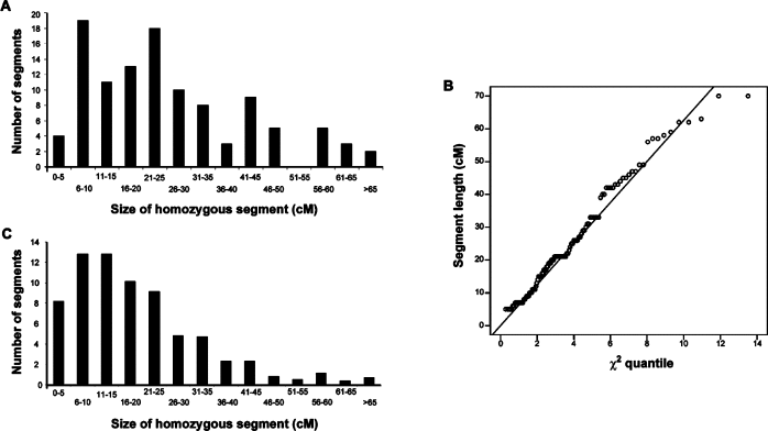 Autosomal Recessive Disorders Examples