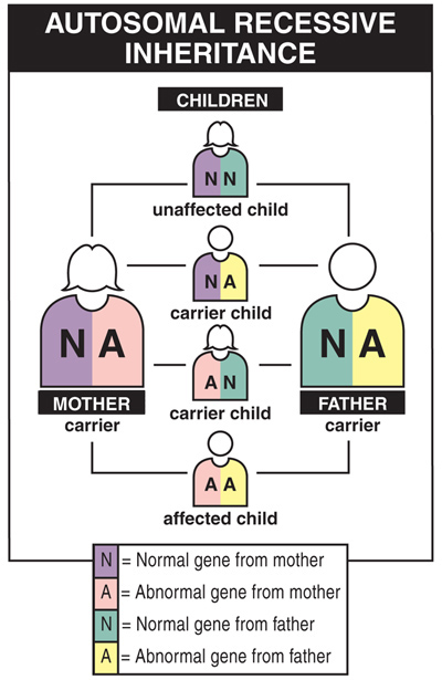 Autosomal Recessive Disorders Examples