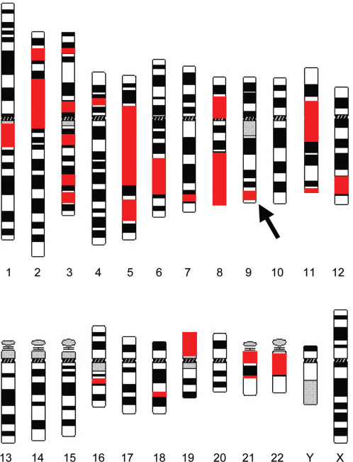 Autosomal Recessive Disorders In Humans