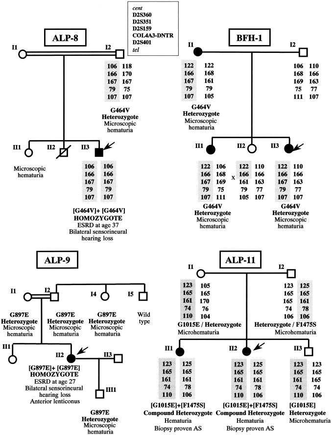 Autosomal Recessive Inheritance Consanguinity