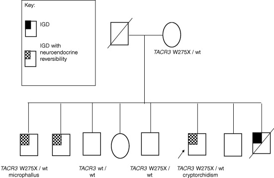 Autosomal Recessive Inheritance Examples